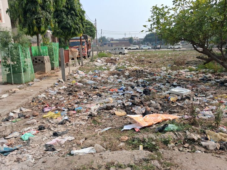 Aligarh Masudabad Colony Garbage Crisis | Health Risk & Sanitation