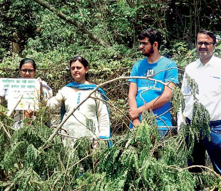 Trees Cutting issue on Paithan Road at Aurangabad | पैठण रोडवरील झाडे ...