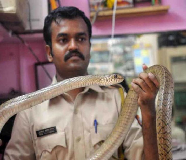 Know Why This Mumbai Policeman Run Behind Snakes
