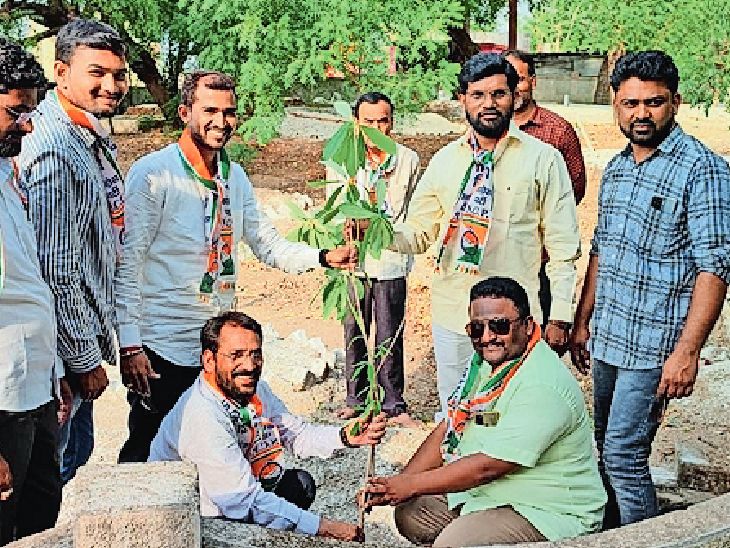 Celebrate the anniversary of NCP with tree planting |marathi news