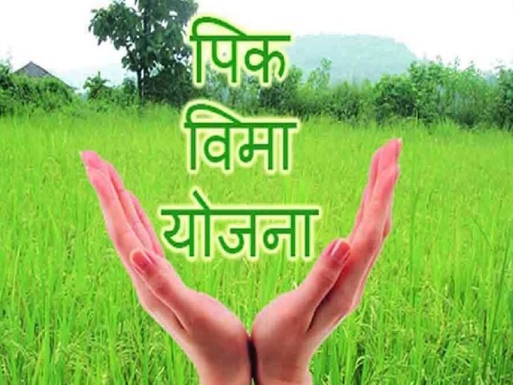 पीक विम्यासाठी ३१ जुलैपर्यंत अर्ज करा : सोनवणे 