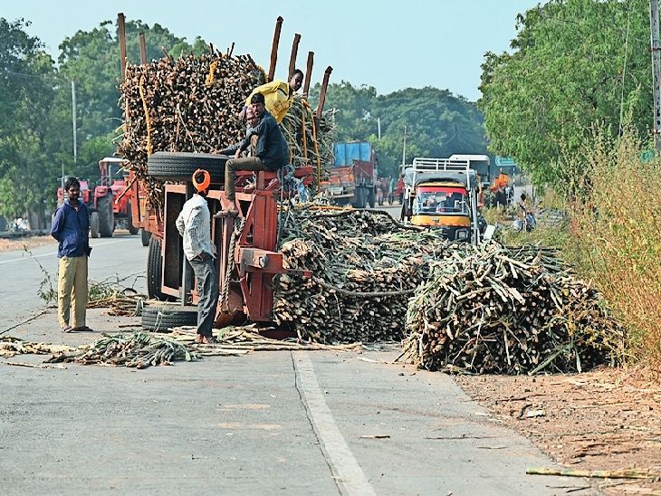 Risk of accidents due to overloaded sugarcane vehicles for the mill ...