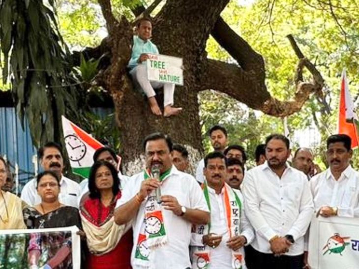 NCP Protest Against Tree Cutting; river improvement Project | NCP | Pune