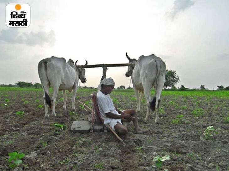 Sunil Kendrekar's recommendation invalid; 10,000 help to farmers before ...