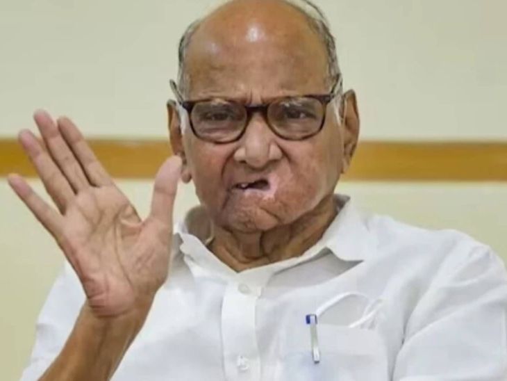 Pawar had won the election on bullocks, charkha, cows and paws, the ...