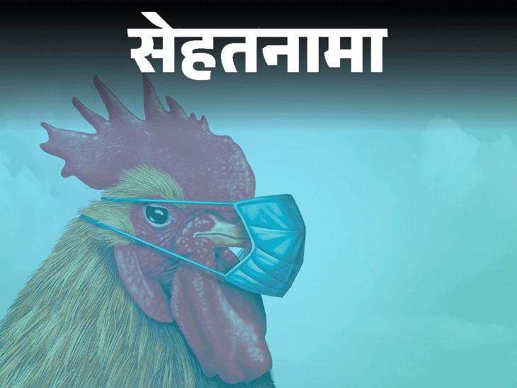 A new strain of bird flu could wreak havoc Bird Flu Virus Infection