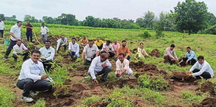 Creation of bamboo forest by Erandol Municipality, plantation of 500 ...