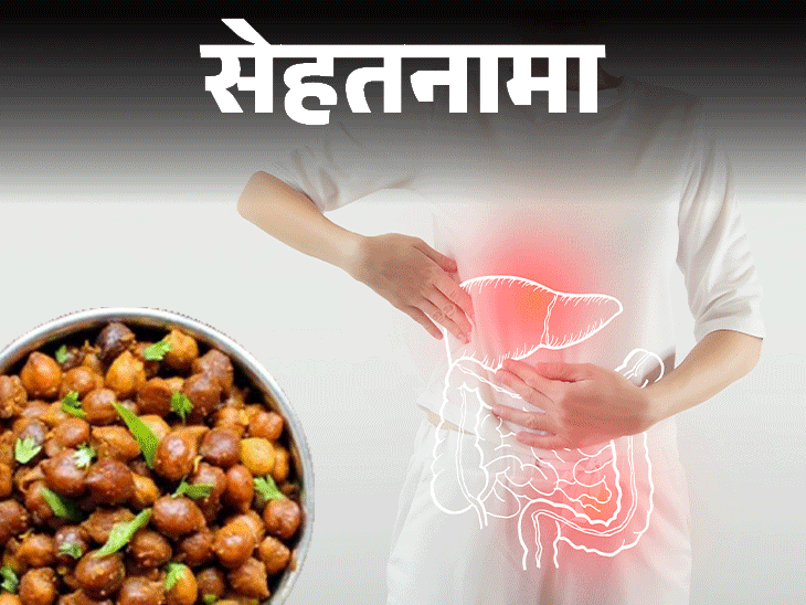 Protein Digestion Process Explained; Acids And Enzymes Issues हरभरा