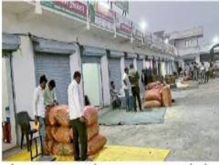 After 21 years, auction of pulses, along with Sanjeevani, Bhusar Mala ...