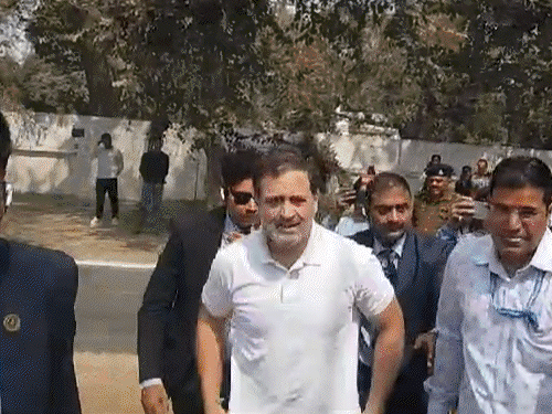 राहुल यांना विचारले- महाकुंभात जाणार का?, म्हणाले- नमस्कार: रायबरेलीत म्हणाले- मायावतींनी पाठिंबा दिला असता, तर भाजप जिंकला नसता राहुल यांना विचारले- महाकुंभात जाणार का?, म्हणाले- नमस्कार: रायबरेलीत म्हणाले- मायावतींनी पाठिंबा दिला असता, तर भाजप जिंकला नसता