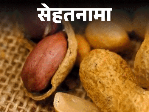 Peanut Health Benefits (shengdane Khanyache Fayde) | Nutritions