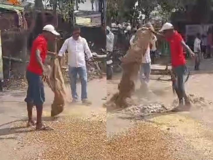 शेतकरी विरोधी धोरणाविरोधात प्रहार सोशल फोरमचे आंदोलन:  शेतकरी इतिहास बनू नये, यासाठी उपविभागीय कार्यालयासमोर फेकले धान्य – Nagpur News