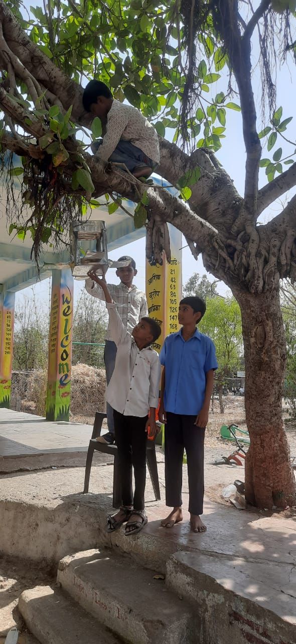 Students planted pots on trees to feed birds, activities at Umrad ...