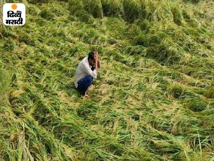 Unseasonal Rain Damages 23,000 Hectares of Crops Across 23 Districts in ...