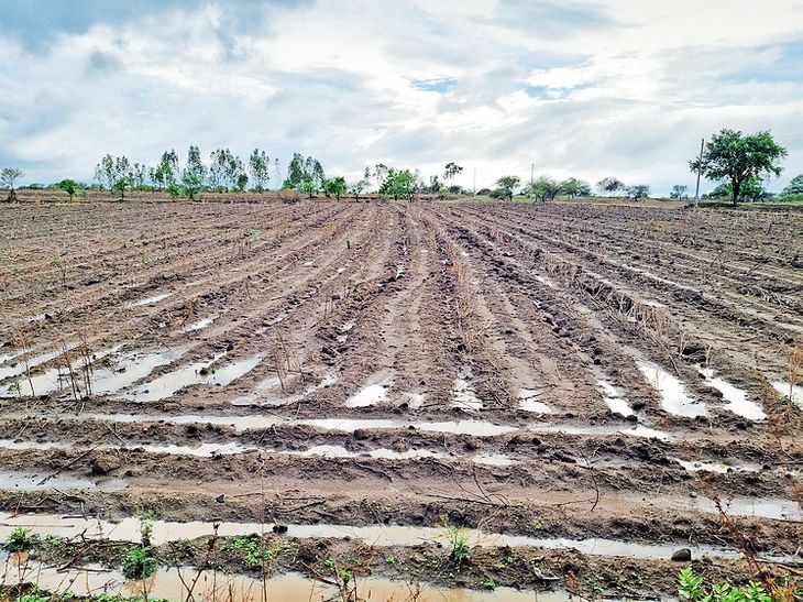 Pre-monsoon rains disrupt farming activities; Crop damage, gale force ...