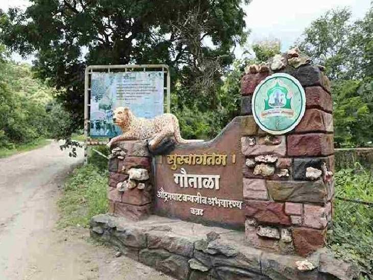 Gautala Sanctuary will remain closed for tourists from July to ...