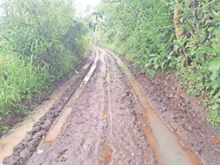 Farmers will get a strong network of Panand roads in five years
