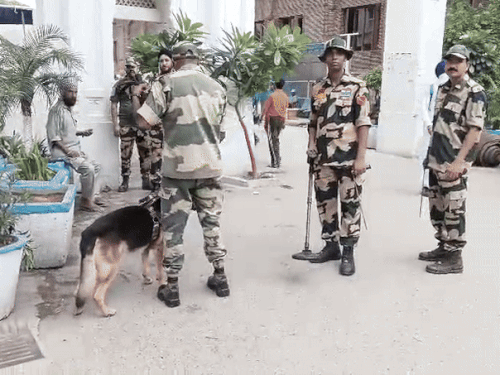 सुवर्ण मंदिरावर पुन्हा बॉम्ब हल्ला करण्याची धमकी:  24 तासांत आणखी एक ई-मेल, लिहिले- पाईपमध्ये RDX भरला, डॉग-बॉम्ब पथक पोहोचले