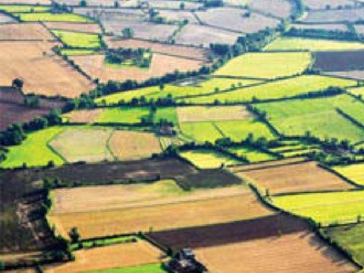 तुकडेबंदी अधिनिय दुरुस्तीसाठी समिती स्थापन:  15 दिवसांत मार्गदर्शक कार्यपद्धती, महसूल-वन विभागाकडून शासन निर्णय जारी – Mumbai News