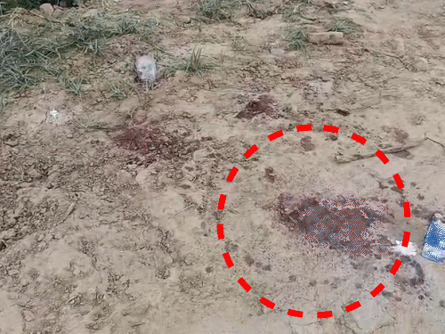 Chandan Mishra Murder Case, Encounter Between Police And Criminals In Arrah