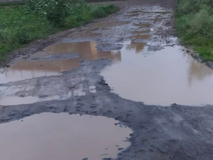 अमरावतीत पावसाचा कहर:  85 घरांची पडझड, 26 कुटुंबांचे स्थलांतर; 186 हेक्टर शेतीचे नुकसान – Amravati News