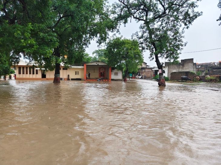 अमरावतीत पावसाचे थैमान:  2 हजार 224 हेक्टर पिकांचे नुकसान, नांदगावात 50नागरिक अडकले; 89 घरांची पडझड – Amravati News