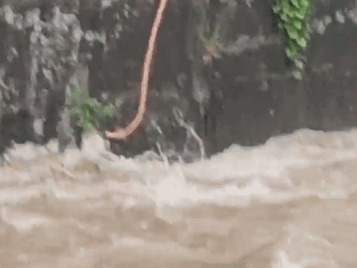 मुंबईत तरुण वाहून जाताना थोडक्यात वाचला:  दोर पकडण्याच्या नादात हातचा गज सुटला अन् वाहत गेला; पाहा धडकी भरवणारा VIDEO – Mumbai News