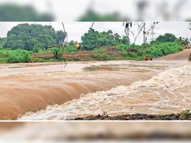 Crops on 8 lakh 5 thousand hectares in 19 districts damaged due to ...