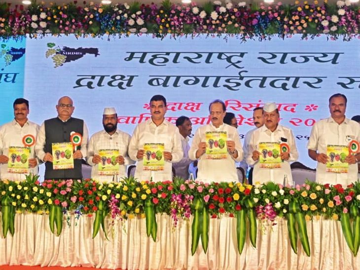 द्राक्ष बागाईतदार संघाच्या वार्षिक अधिवेशनात उपमुख्यमंत्र्यांचे आश्वासन:  शेतकऱ्यांच्या मागण्या पूर्ण करण्यासाठी लवकरच मुंबईत बैठक; केंद्रस्तरीय चर्चेचेही आयोजन – Pune News