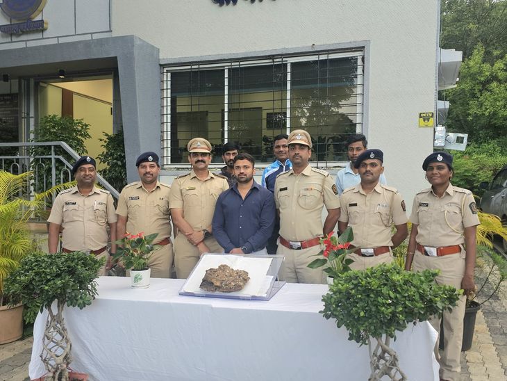 पुणे वनविभागाची मोठी कारवाई:  व्हेल माशाच्या 2 किलो उलटीसह तिघांना अटक, किंमत 2 कोटी – Pune News