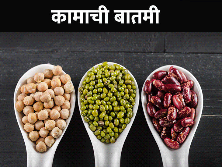 Protein Rich Beans Health Benefits; Rajma | Masoor Dal Kala Chana