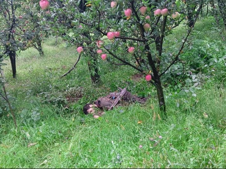 कुलगाममध्ये सैन्याची दहशतवाद्यांशी चकमक:  लष्करचा एक दहशतवादी ठार, 3-4 अजूनही लपलेले; एक सैनिक जखमी