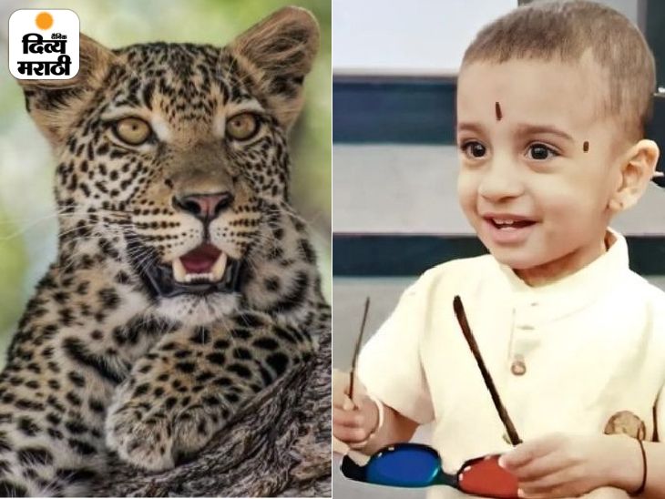 वडिलांसमोर बिबट्याने नेले लेकराला:  नाशिकमधील धक्कादायक घटना, गंगाधरन डोळ्यात अश्रू आणून म्हणाले – मेरे श्रृतीक को कहाँ से लाऊं? – Nashik News