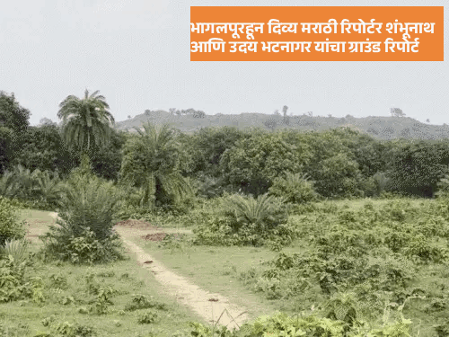 अदानी पॉवर प्लांटबद्दल जमीन देणारे शेतकरी काय म्हणाले?:  एका जमिनीच्या तुकड्याच्या तीन किमती, 10 लाख झाडे तोडण्याचा दावा किती खरा?