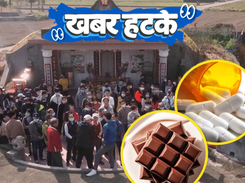 खबर हटके: युरोपातील 100+ लोकांनी साधला झाडांशी संवाद:  कबरींवर पेनकिलर आणि चॉकलेट अर्पण करत आहे GenZ; पाहा 5 रंजक बातम्या