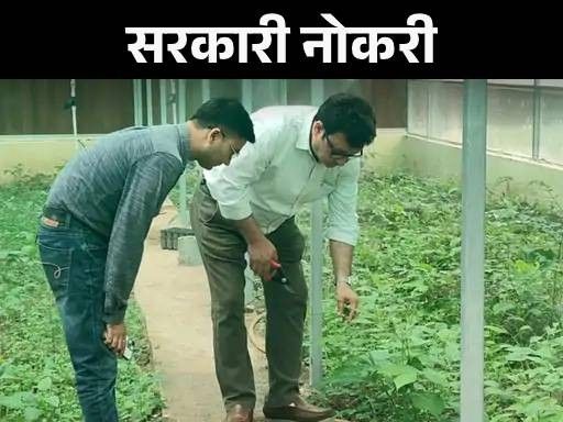 सरकारी नोकरी:  पंजाबमध्ये 101 HDO पदांसाठी भरती; वयोमर्यादा 37 वर्षे, पगार 44,000 पेक्षा जास्त