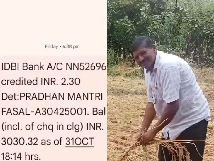 सरकारकडून शेतकऱ्यांची थट्टा!:  भात पिकाच्या नुकसानापोटी फक्त 2 रूपये 30 पैशांची भरपाई, पालघरमधील प्रकार – Mumbai News