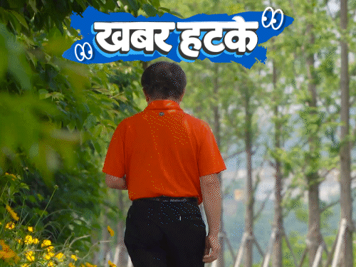 खबर हटके- धार्मिक कार्यक्रमात मांजरींची चेंगराचेंगरी:  जास्त चालल्यामुळे नोकरीवरून काढून टाकले; वाचा 5 मनोरंजक बातम्या