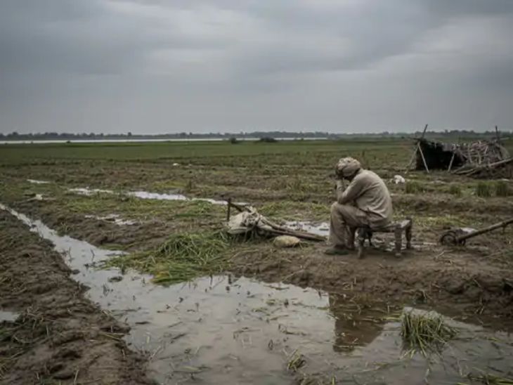 मराठवाड्यात 10 महिन्यांत 899 शेतकऱ्यांची आत्महत्या: मे-ऑक्टोबर दरम्यान पूर-पावसामुळे झालेल्या नुकसानीमुळे 537 शेतकऱ्यांनी जीवन संपवले – Chhatrapati Sambhajinagar News मराठवाड्यात 10 महिन्यांत 899 शेतकऱ्यांची आत्महत्या: मे-ऑक्टोबर दरम्यान पूर-पावसामुळे झालेल्या नुकसानीमुळे 537 शेतकऱ्यांनी जीवन संपवले – Chhatrapati Sambhajinagar News