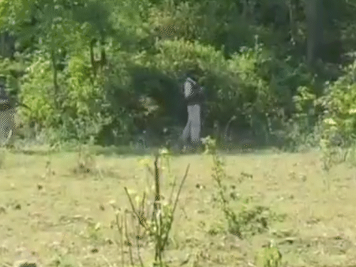 जम्मू-काश्मीरच्या उधमपूरमध्ये तीन संशयित दहशतवादी दिसले:  गावातून अन्न घेऊन जंगलाकडे पळाले; सुरक्षा दलांचे शोधकार्य सुरू