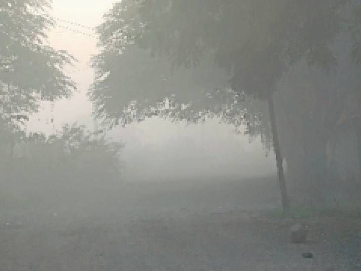 दिव्य मराठी एक्सक्लुझिव्ह‎:  शहरात ‘स्माॅग’ने दरराेज हृदयविकार, ब्रेनस्ट्राेकचे सरासरी येताहेत 50 रुग्ण‎, थंडी आणि प्रदूषणाचे नागरिकांवर दुहेरी संकट – Jalgaon News