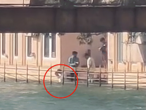 धर्मेंद्र यांच्या अस्थी हरिद्वारमध्ये विसर्जित:  सनीचा मुलगा करणने गंगेत विसर्जित केल्या, संपूर्ण देओल कुटुंब उपस्थित होते