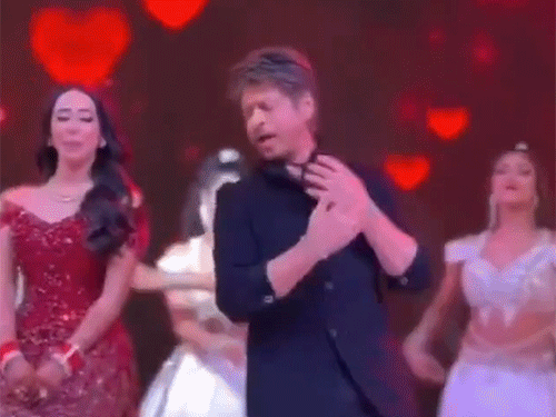 दावा: वधूने शाहरुखसोबत नाचण्यास नकार दिला:  जुबान केसरी बोलवण्यासाठी अभिनेत्याच्या मागे लागली वधू, जाणून घ्या काय आहे सत्य