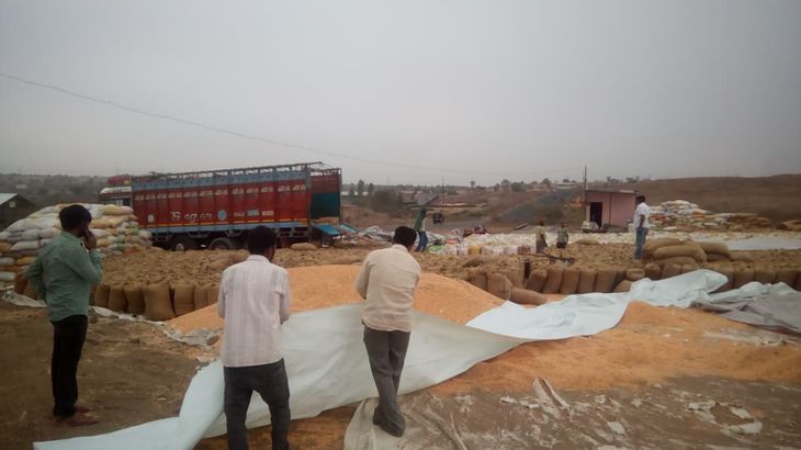 70 टक्के शेतकऱ्यांनी मका विक्री केल्यावर हमीभावासाठी नोंदणी सुरू:  आर्थिक गरजेमुळे शेतकऱ्यांनी कमी दरात व्यापाऱ्यांना दिला मका‎ – Chhatrapati Sambhajinagar News