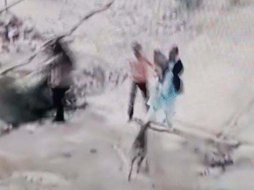 दीड वर्षांच्या मुलीसाठी कुत्र्याशी भिडली आई:  रस्त्यावर ओढून खाली पाडले, चिमुरडीला स्पर्श करू दिला नाही; छातीशी कवटाळून बसली होती