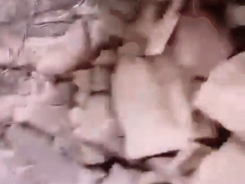 किश्तवाडमध्ये दहशतवाद्यांचा शोध तिसऱ्या दिवशीही सुरू:  ठिकाण सापडले, रेशन, ताज्या भाज्या, अर्धवट शिजवलेली अंडी मिळाली; सुरक्षा दलांचा दावा- सामान स्थानिकांनी पोहोचवले