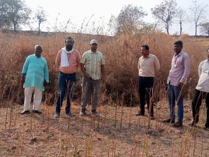 धनगरवाडी विहीर प्रकरण:  तत्कालीन गटविकास अधिकारी, लेखाधिकारी, ग्रामसेवकांच्या विभागीय चौकशीचे प्रस्ताव दाखल करण्याचे आदेश, दोघांच्या सेवा समाप्त – Hingoli News