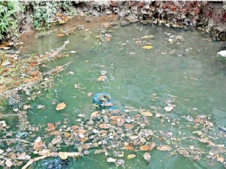 नाशिकमध्ये व्हाॅल्व्हवर बेडूक, किडे, मद्याच्या बाटल्या: इथूनच साेडले जाते भाभानगरमध्ये पाणी, पालिकेचा व्हाॅल्व्ह डबक्यात, अधिकारी म्हणतात प्रेशरमुळे गळती हाेणारच – Nashik News नाशिकमध्ये व्हाॅल्व्हवर बेडूक, किडे, मद्याच्या बाटल्या: इथूनच साेडले जाते भाभानगरमध्ये पाणी, पालिकेचा व्हाॅल्व्ह डबक्यात, अधिकारी म्हणतात प्रेशरमुळे गळती हाेणारच – Nashik News