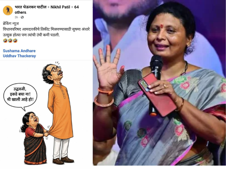 सुषमा अंधारेंनी ट्रोलर्सनाच केले ट्रोल:  राणे कुटुंब, भुजबळ, अशोक चव्हाण, चित्रा वाघ, भुजबळ, मुश्रीफ, तटकरे कुणालाही सोडले नाही – Maharashtra News