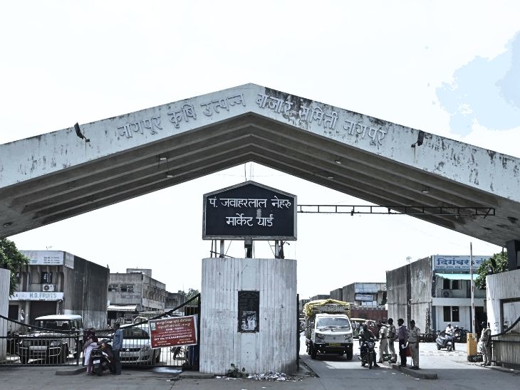 ‘राष्ट्रीय दर्जा’ मिळवण्यासाठी आवश्यक निकष काय आहेत? जाणून घ्या नागपूर बाजार समितीची वैशिष्ट्ये!
